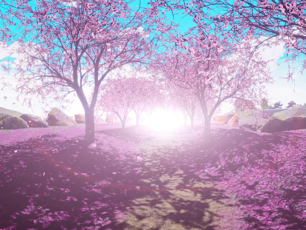 Augmented Psychology app - Garden